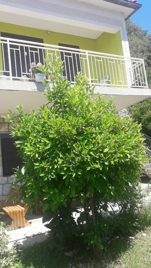 Apartment Dragone Ulcinj Bagian luar foto