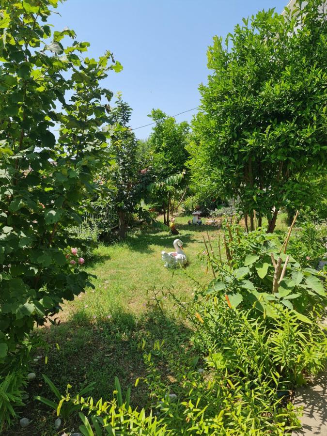 Apartment Dragone Ulcinj Bagian luar foto